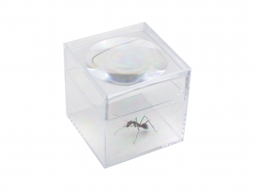 magnifier box - 3fold - 30mm